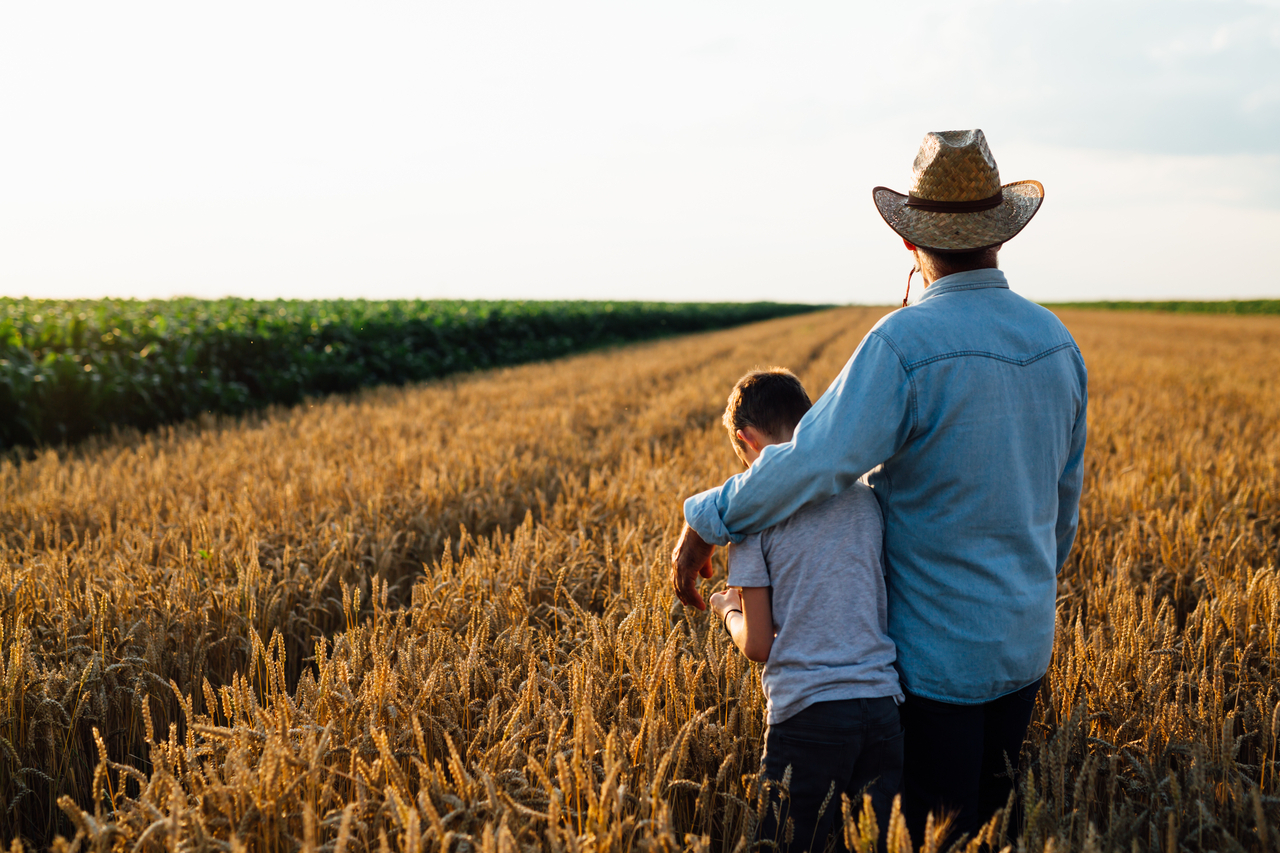 The Intergenerational Farm Rollover Provisions - Common Traps